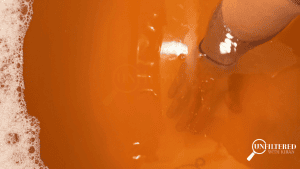 Maurepas water issues
